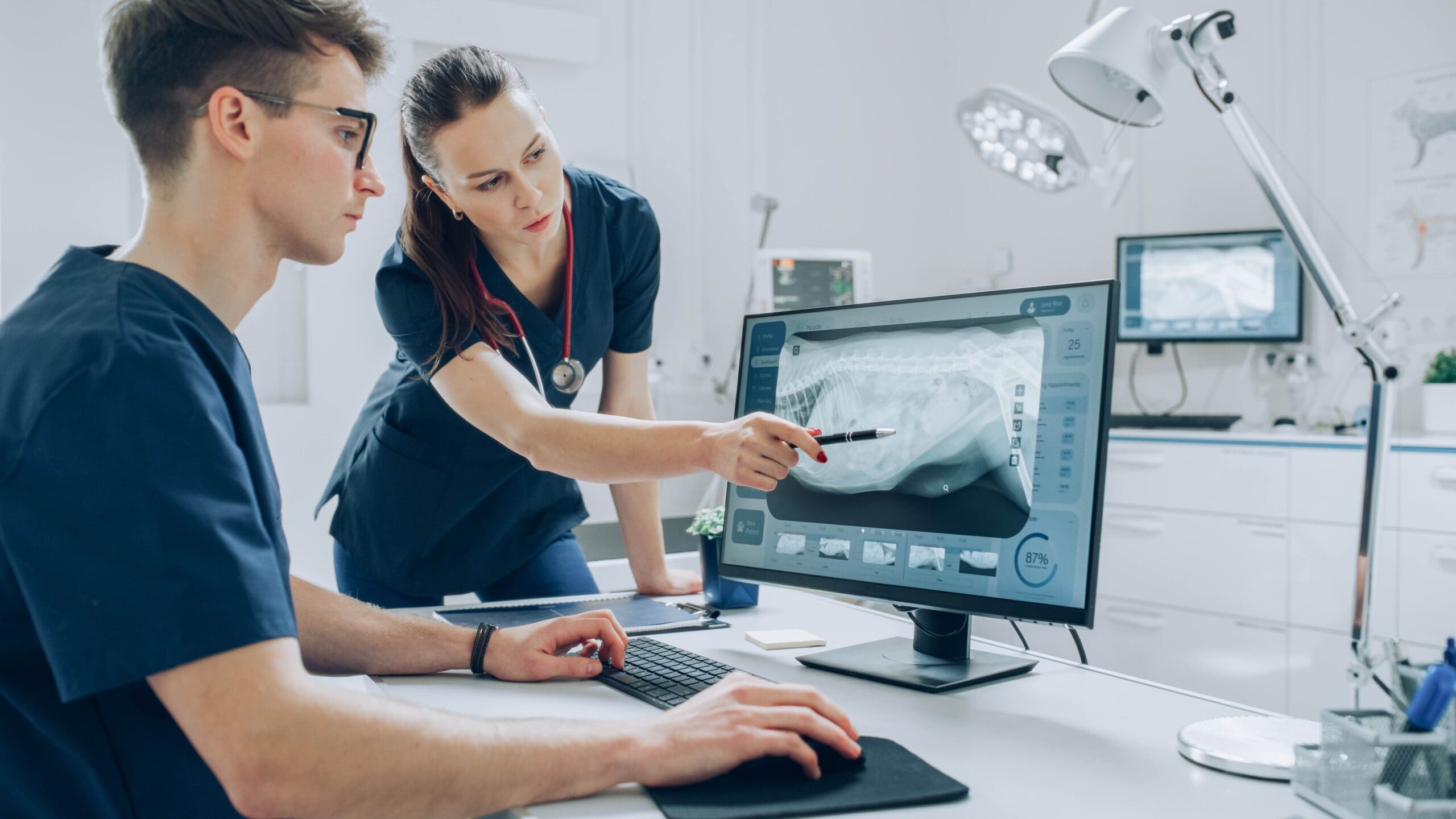 Exploring Veterinary Practices Through Locum Work
